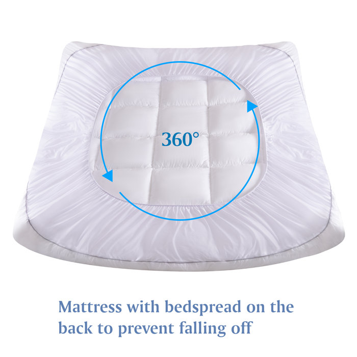 Alwyn Home Slaton 4'' Down Alternative & Reviews Wayfair